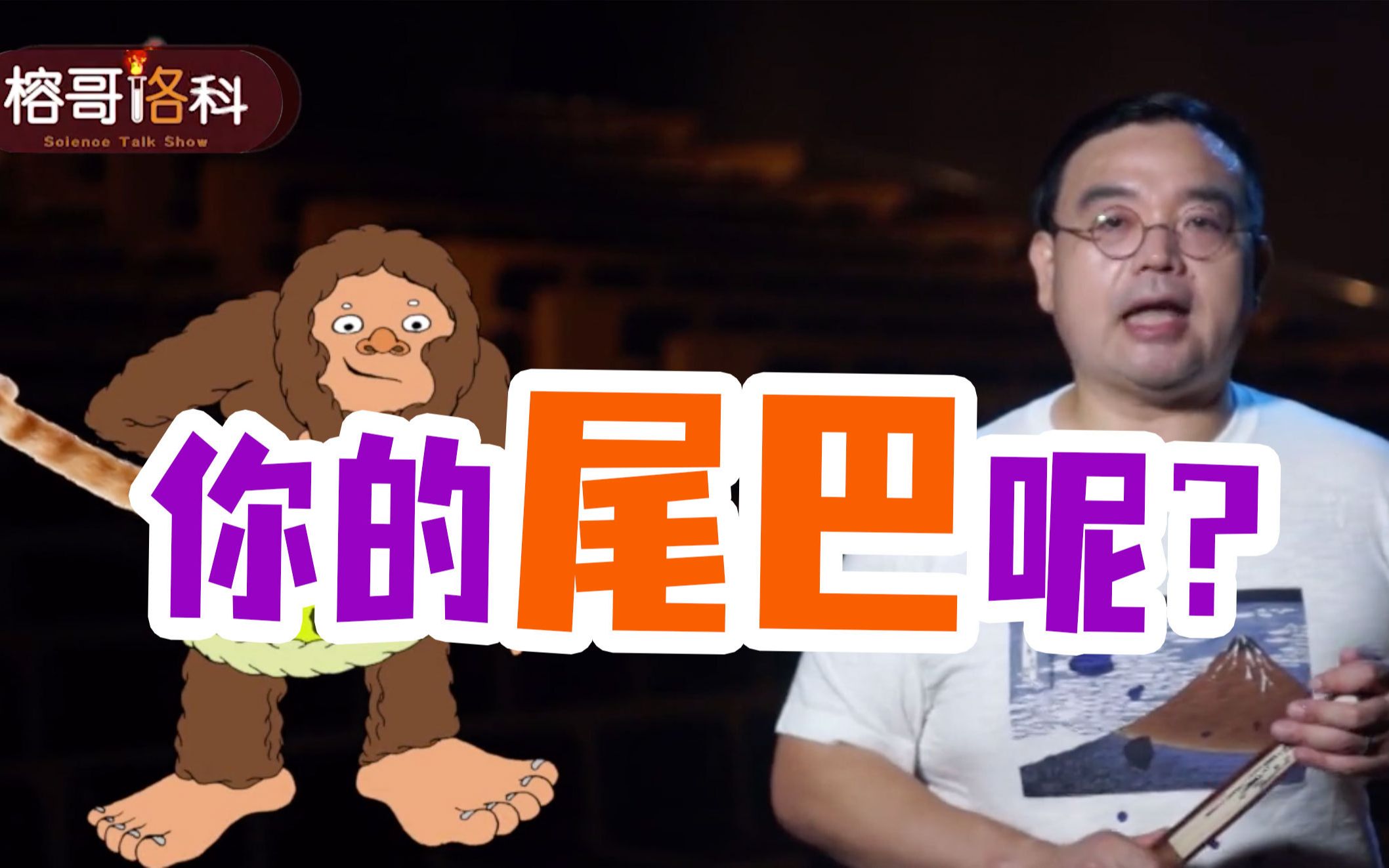 【榕哥烙科】人的尾巴究竟哪去了?哔哩哔哩bilibili