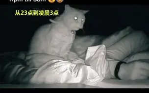 Скачать видео: 女子没睡好查监控，发现半夜被猫拍打了4个小时