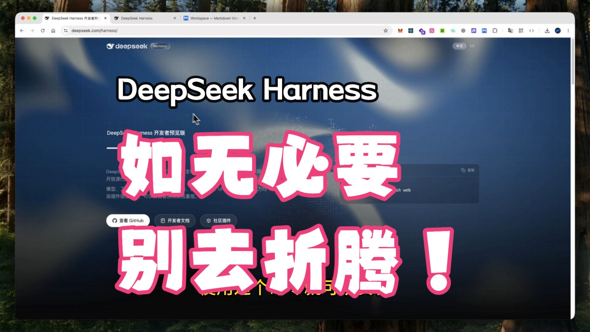 DeepSeek Harness 如无必要，别去折腾！