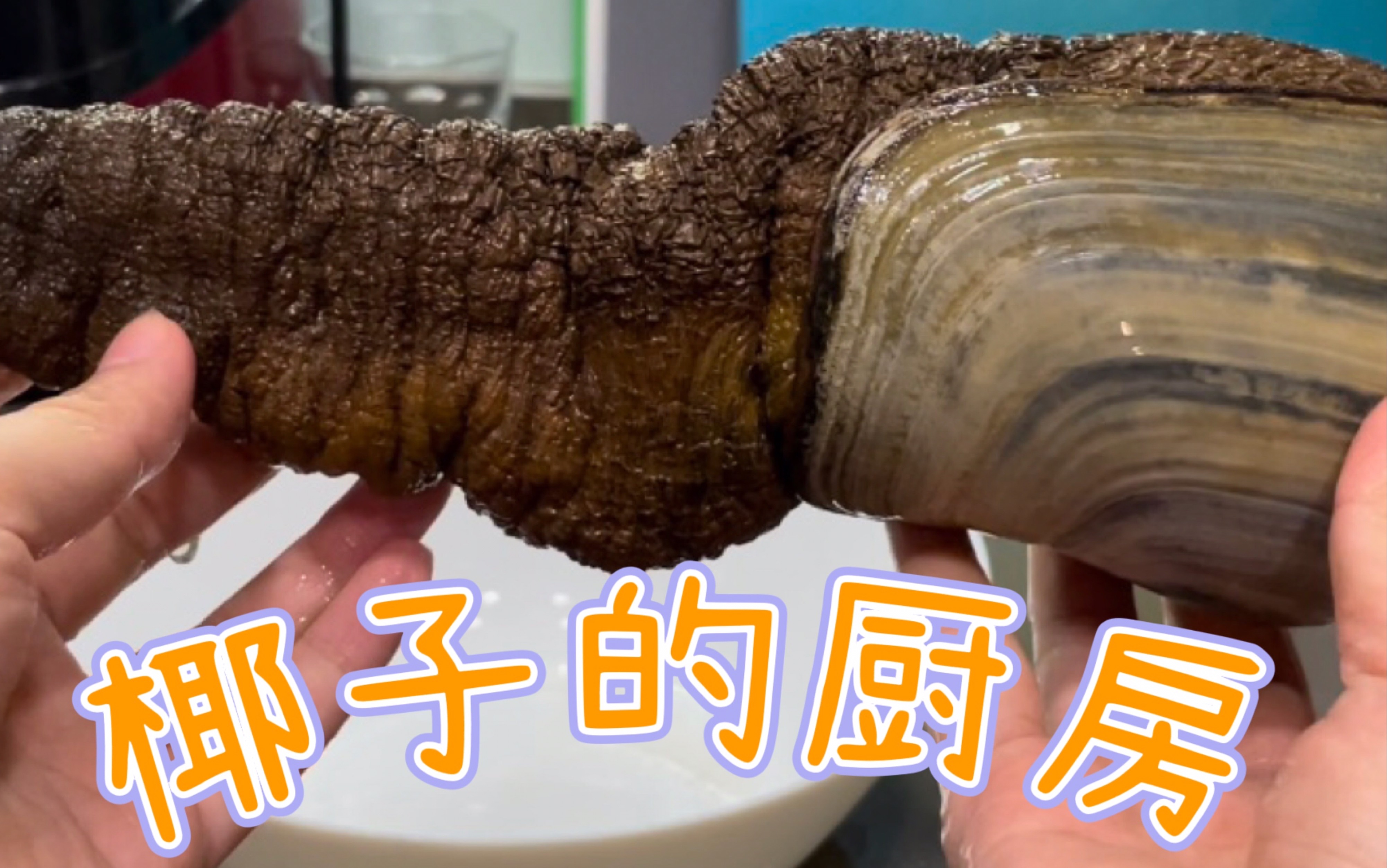 象拔蚌刺身,脆甜爽口!象拔蚌内脏汤给我做成姜汤了