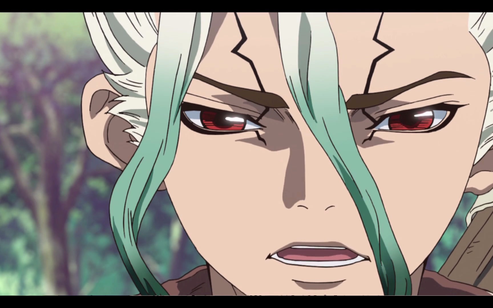 石纪元千琥琥珀の身体