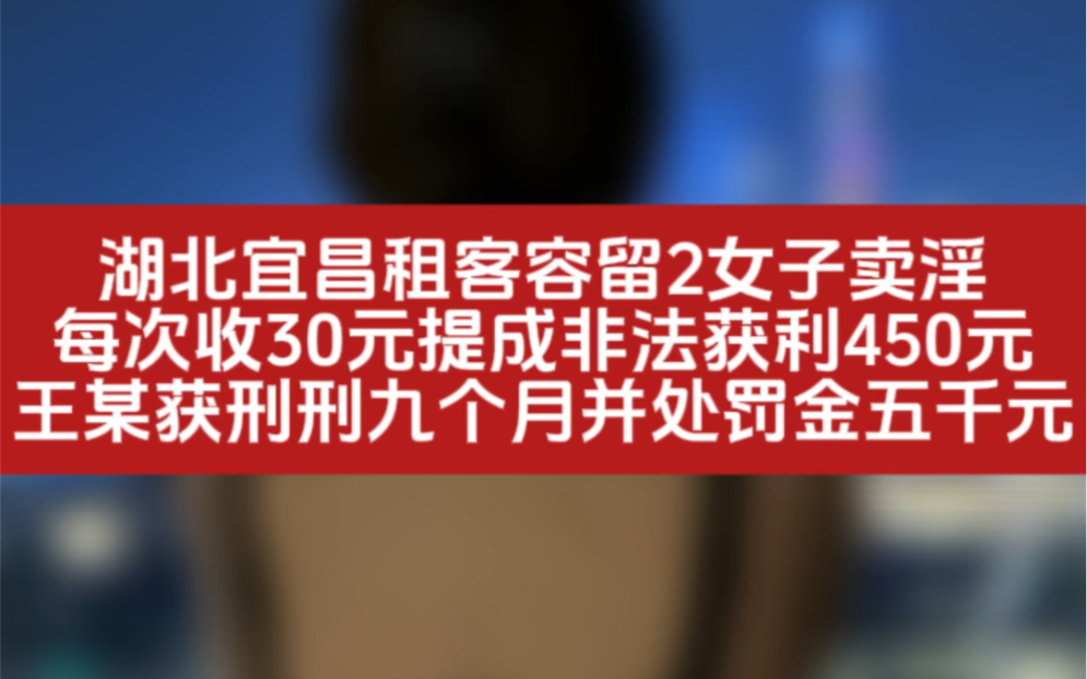 湖北宜昌一租客容留2女子卖淫,每次收30元提成非法获利450元.王某获刑刑九个月并处罚金五千元!哔哩哔哩bilibili