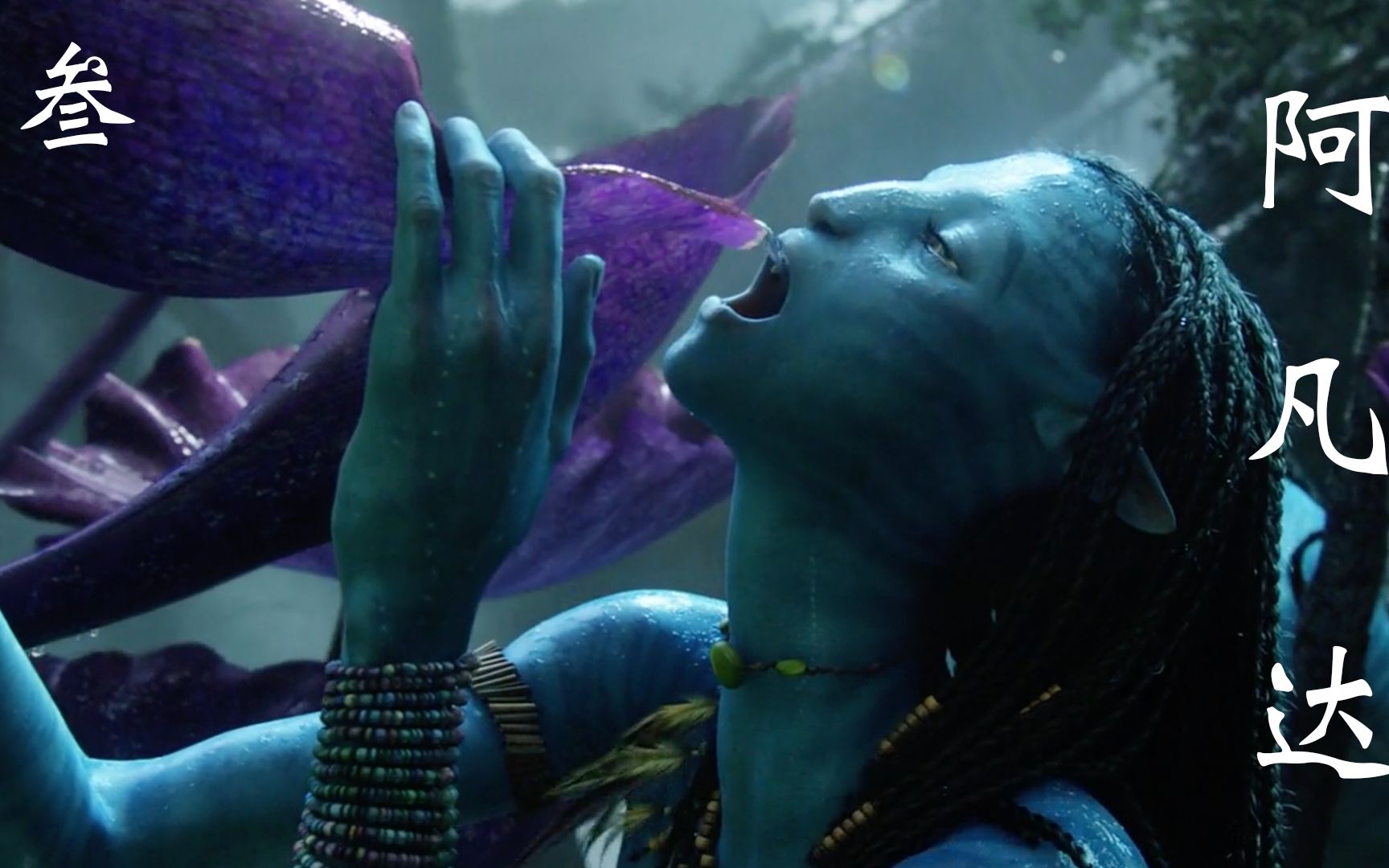 超级大片阿凡达3回归 B站