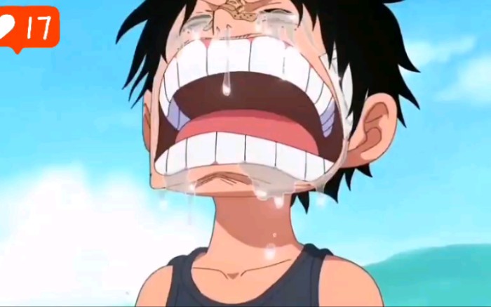 海贼王# 那些 欢乐 痛苦 与 无奈