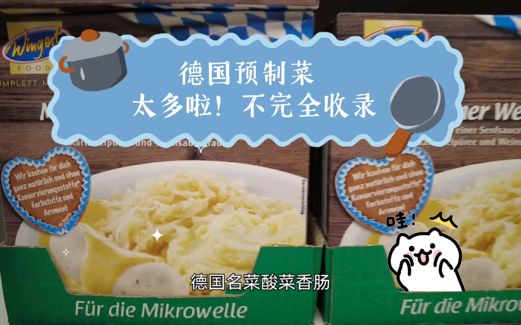 德国预制菜 超长视频!太多啦!不完全收录(比较流水账)哔哩哔哩bilibili