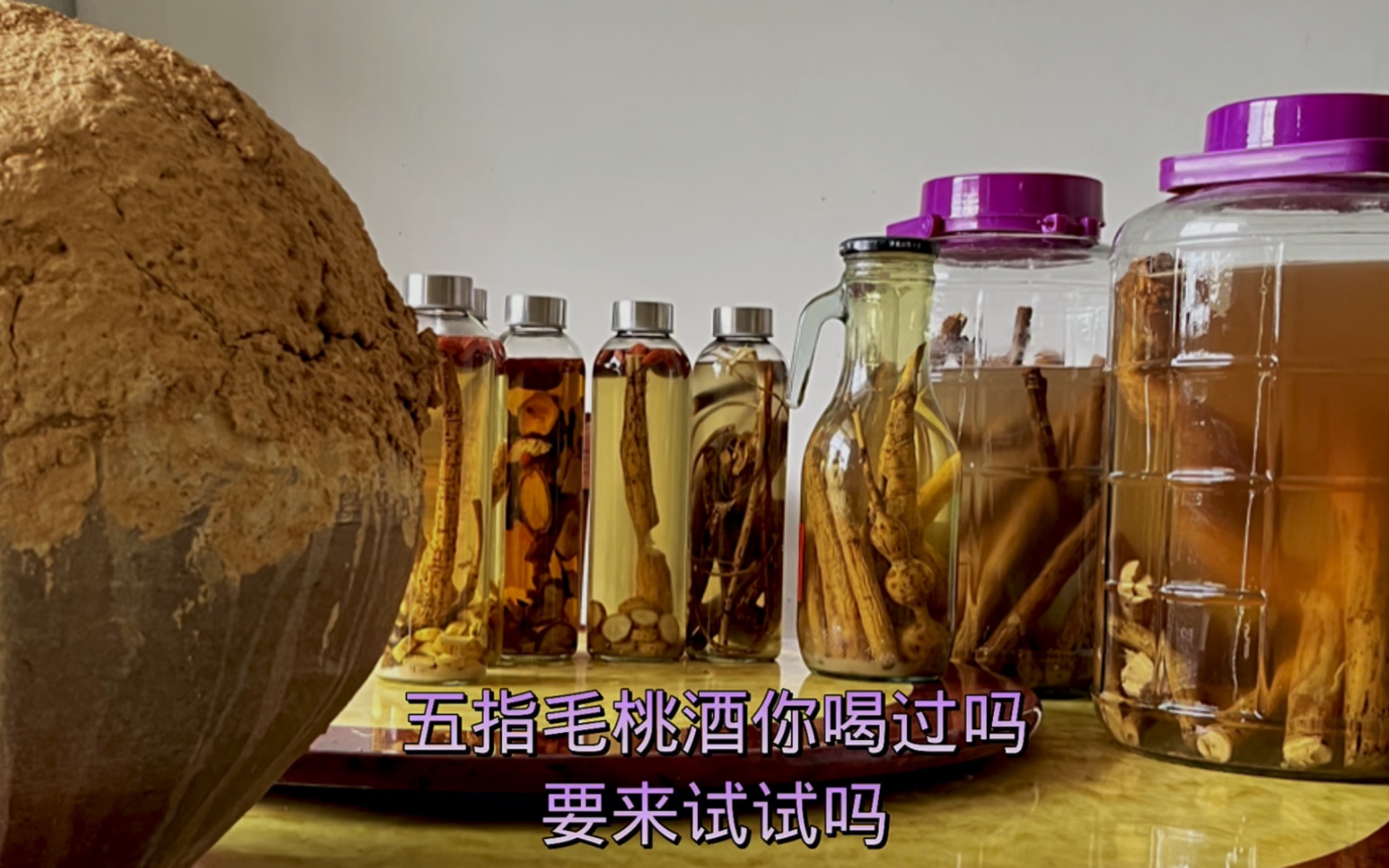 五指毛桃泡酒功效(五指毛桃泡酒:滋阴补肾,养生护肝的佳品)