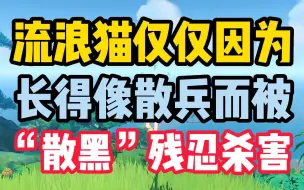 Download Video: 流浪猫就因为长得像散兵而被残忍的虐待杀害！理由却只是因为讨厌散兵！简直不可理喻！