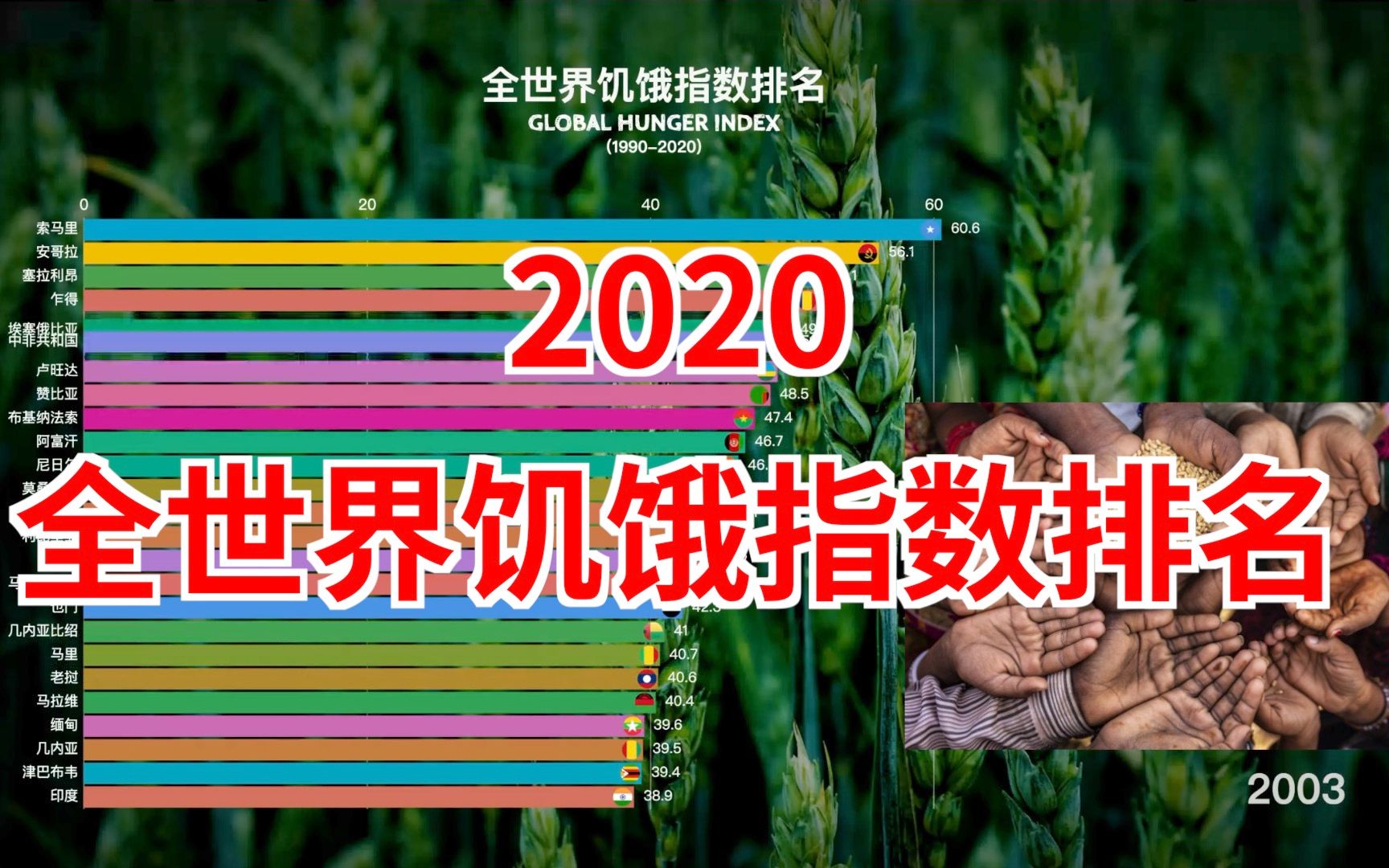 2020全世界饥饿指数排名哔哩哔哩bilibili