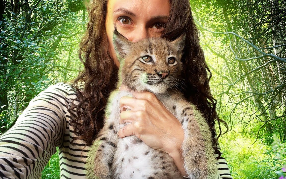 【猞猁姐姐】20220831--小猞猁准备送人了_哔哩哔哩_bilibili