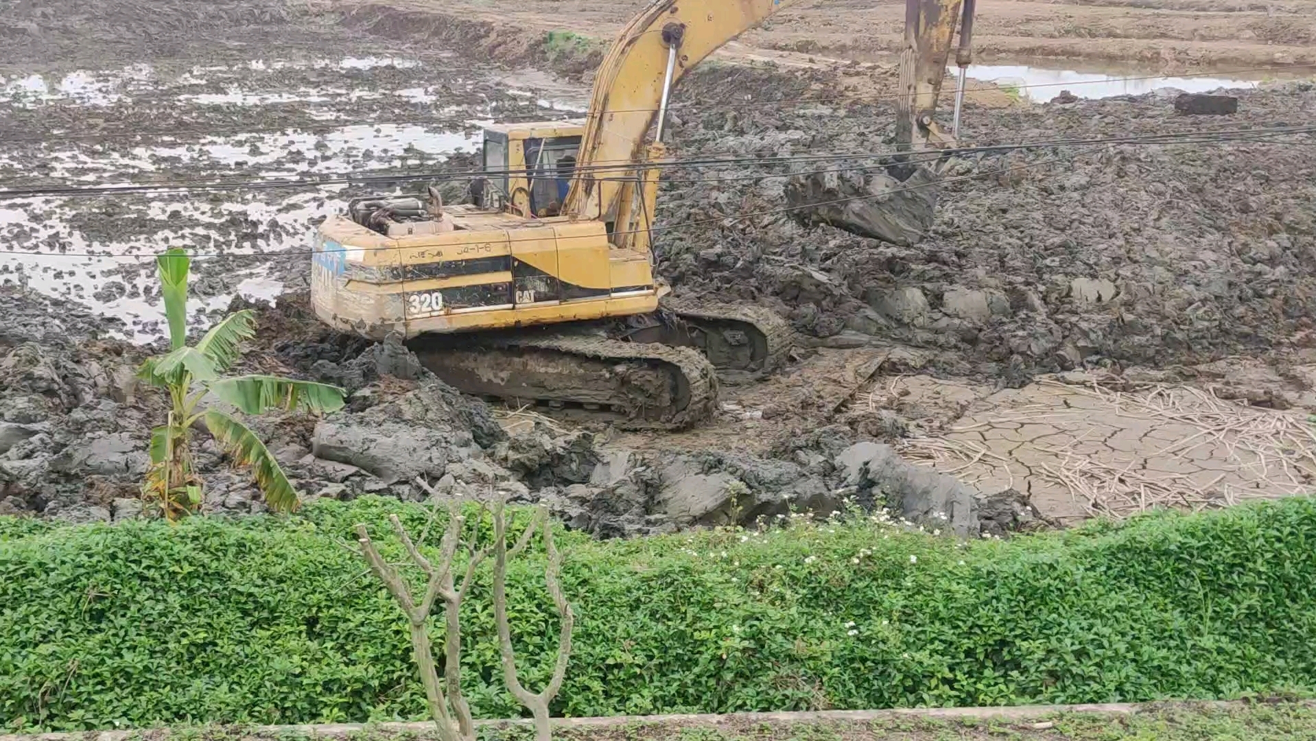 看挖机挖鱼塘,看不腻啊看不腻