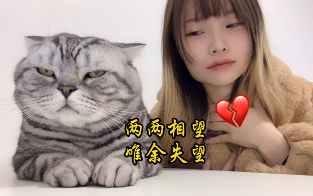 我不相信只有我被我家猫鄙视!