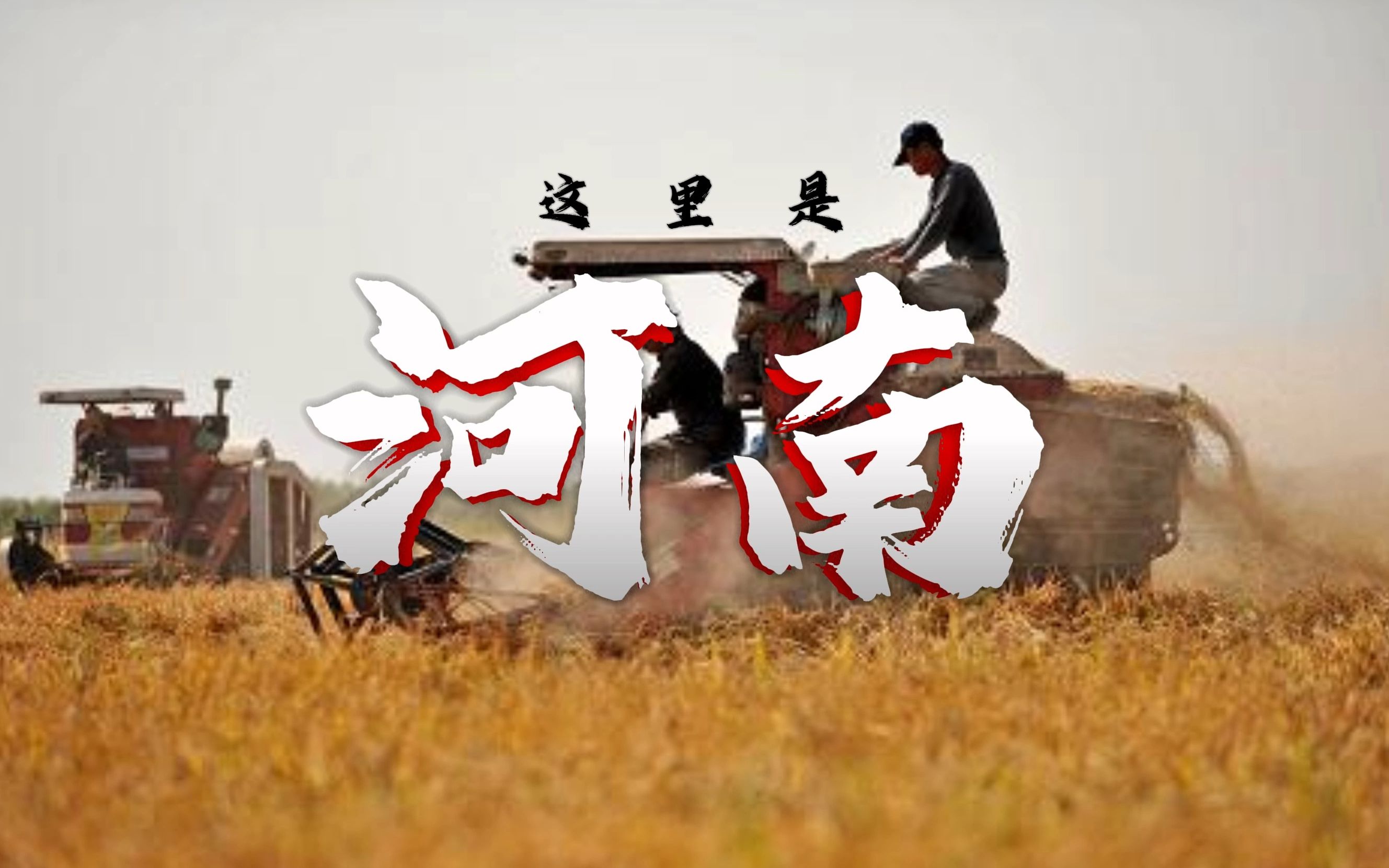 五月满稻香,全国第一粮食大省,这里是河南