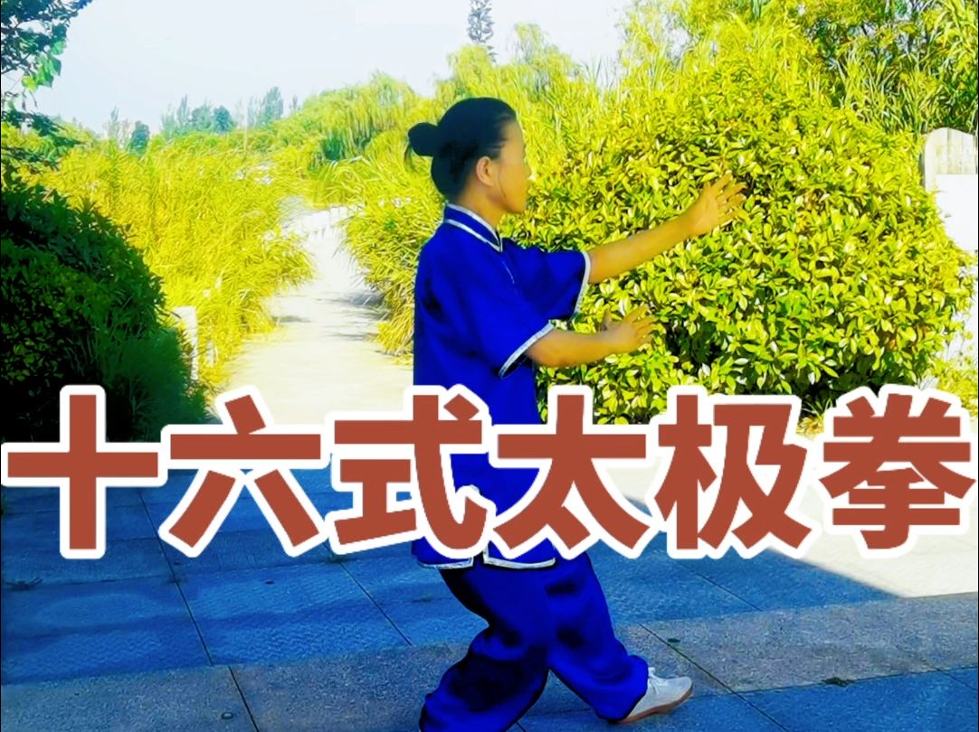 中国武术二段位考核套路:16式太极拳(带口令字幕)