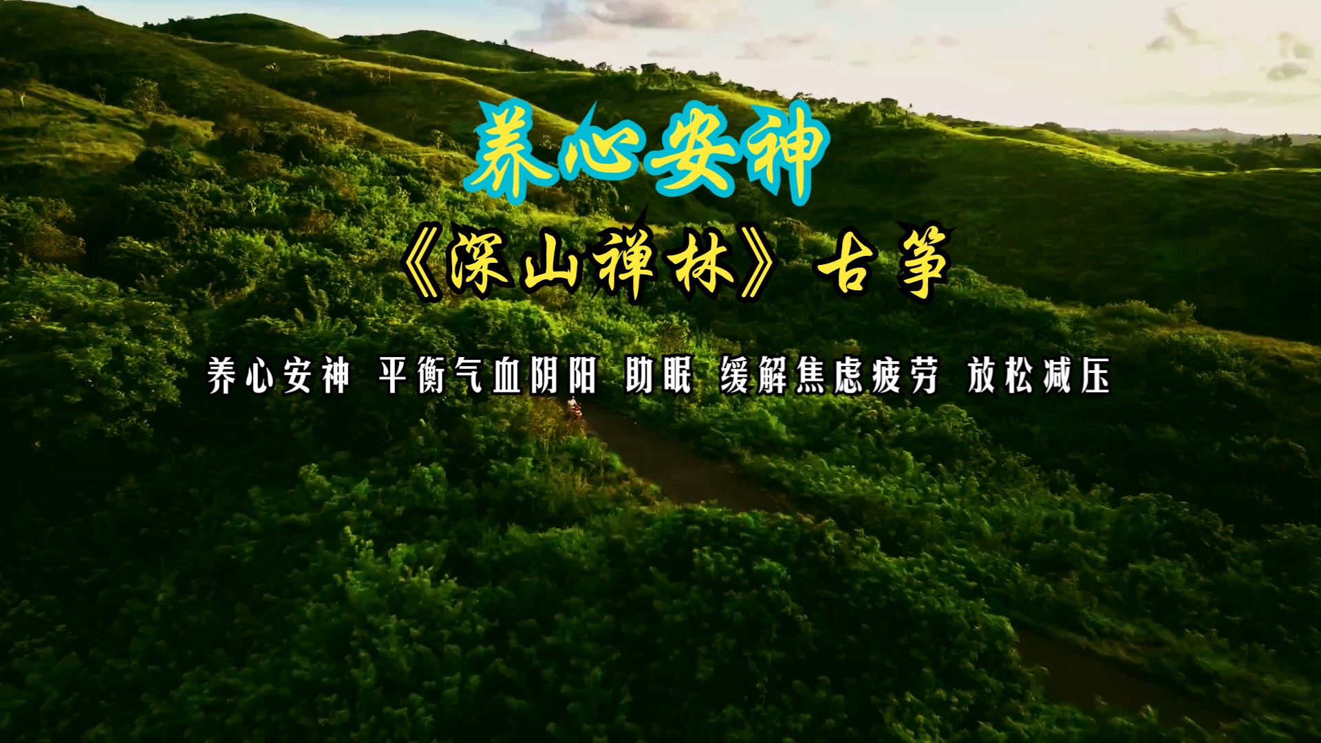 养心安神 平衡气血阴阳 助眠 缓解焦虑疲劳 放松减压《深山禅林》古筝