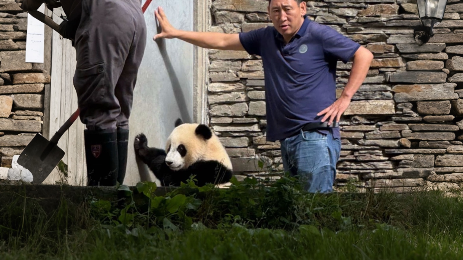 《人教版动物图鉴》