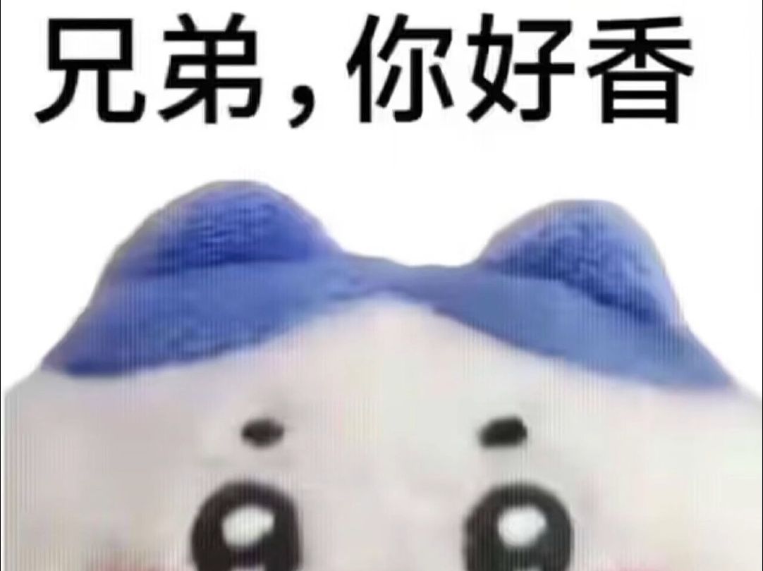 兄弟,你好香小c的每日沙雕图存档2024.1.30