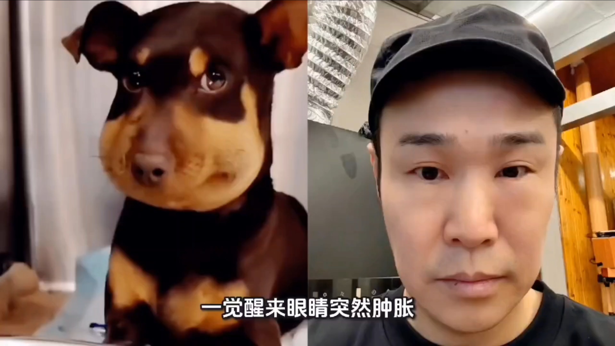 小沈阳一觉睡醒眼睛肿成蜜蜂小狗，调侃公演状态堪忧
