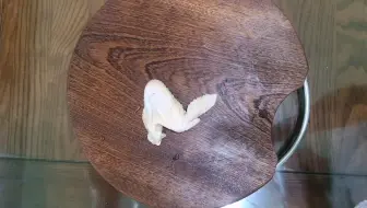 生物作业——解剖鸡翅