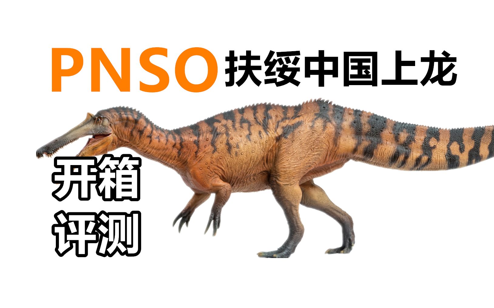 [图]中华有棘龙！PNSO 扶绥中国上龙模型开箱评测！