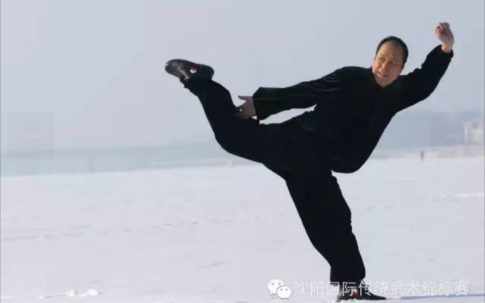 [图]田雨时老师戳脚翻子拳