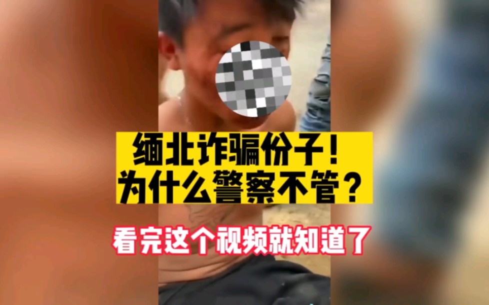 缅北诈骗这么嚣张!为什么警察一直不管!哔哩哔哩bilibili