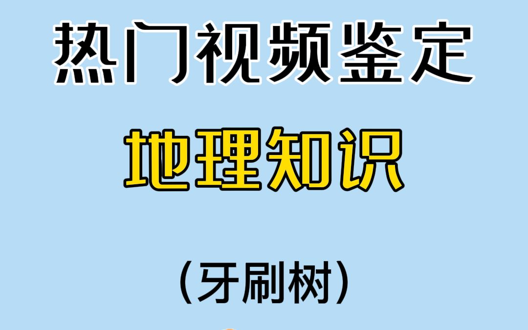 牙 刷 ?哦 是……树哔哩哔哩bilibili