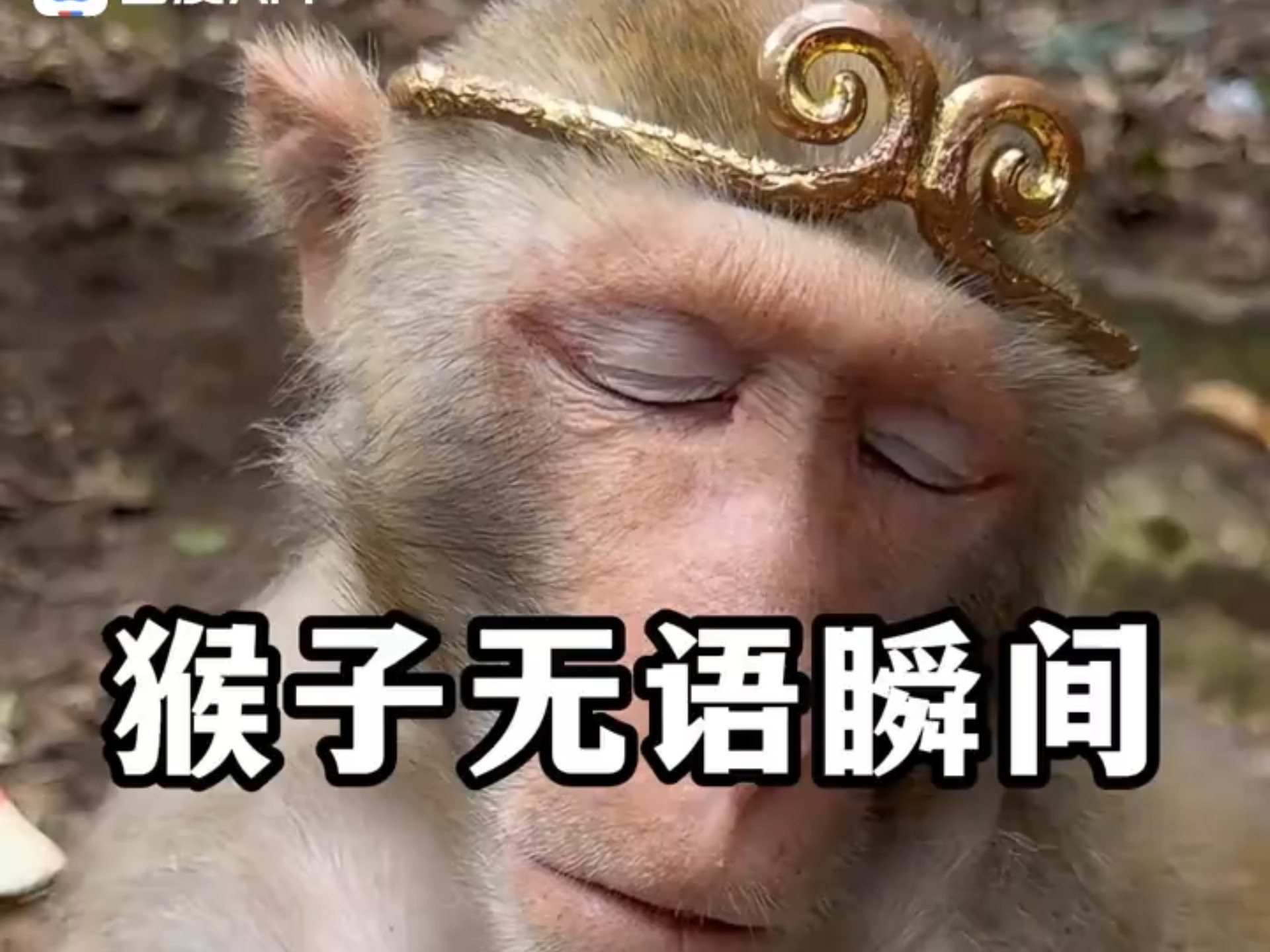 猴哥:带上金箍的那一刻,我好像回忆到了紫霞仙子