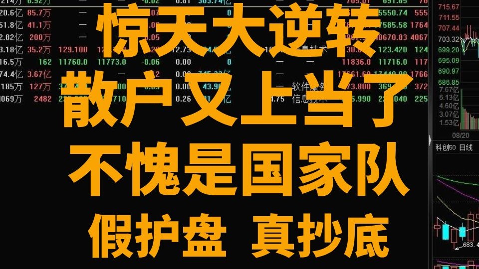 不愧是国家队,假护盘,真抄底?不进就拉,进来就砸,就是不带散户玩