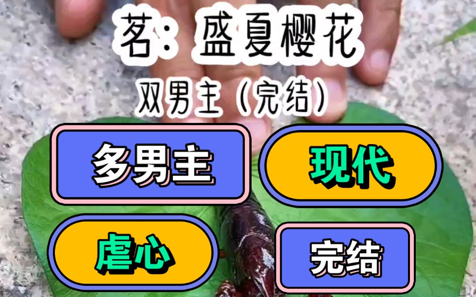 【多男主+现代虐心+完结】我被季宴礼和他的兄弟林向南80,只因为我的母亲是季家的下等佣人.哔哩哔哩bilibili