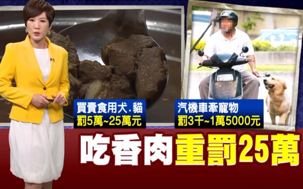 [图]台湾立法禁止食用猫狗肉，成为亚洲首个禁吃猫狗肉的地区！