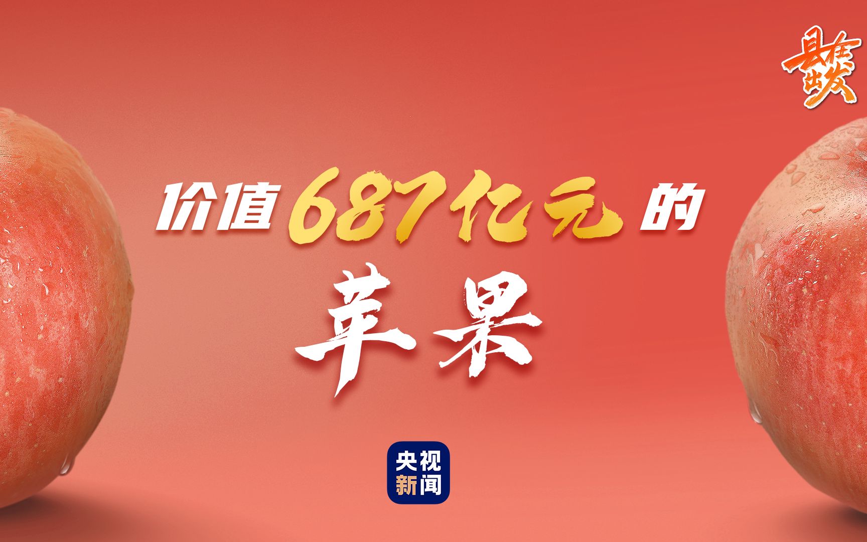 洛川苹果为啥能值687亿元?哔哩哔哩bilibili