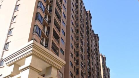 春意富盈 哔哩哔哩 Bilibili