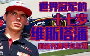 Download Video: 【F1/回顾】17岁成为F1车手，维斯塔潘的新秀赛季有多强？