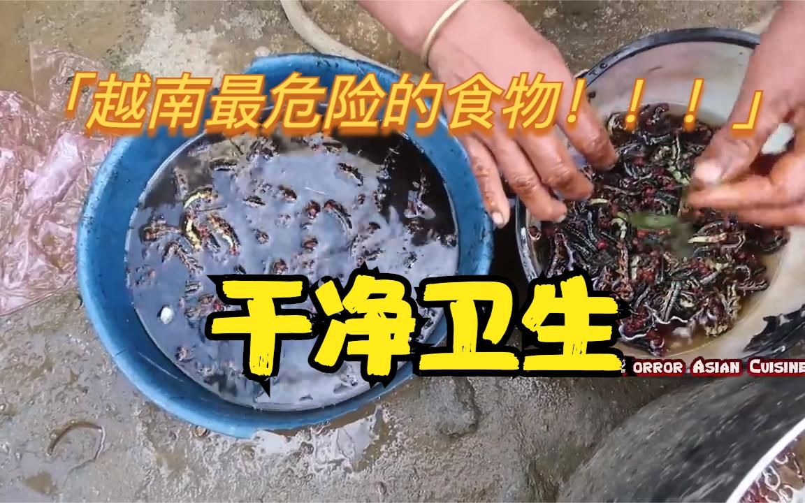 越南最危险的食物:干净又卫生的原生态“蜈蚣”?哔哩哔哩bilibili