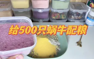 Tải video: 给500只蜗牛配粮是种什么体验…