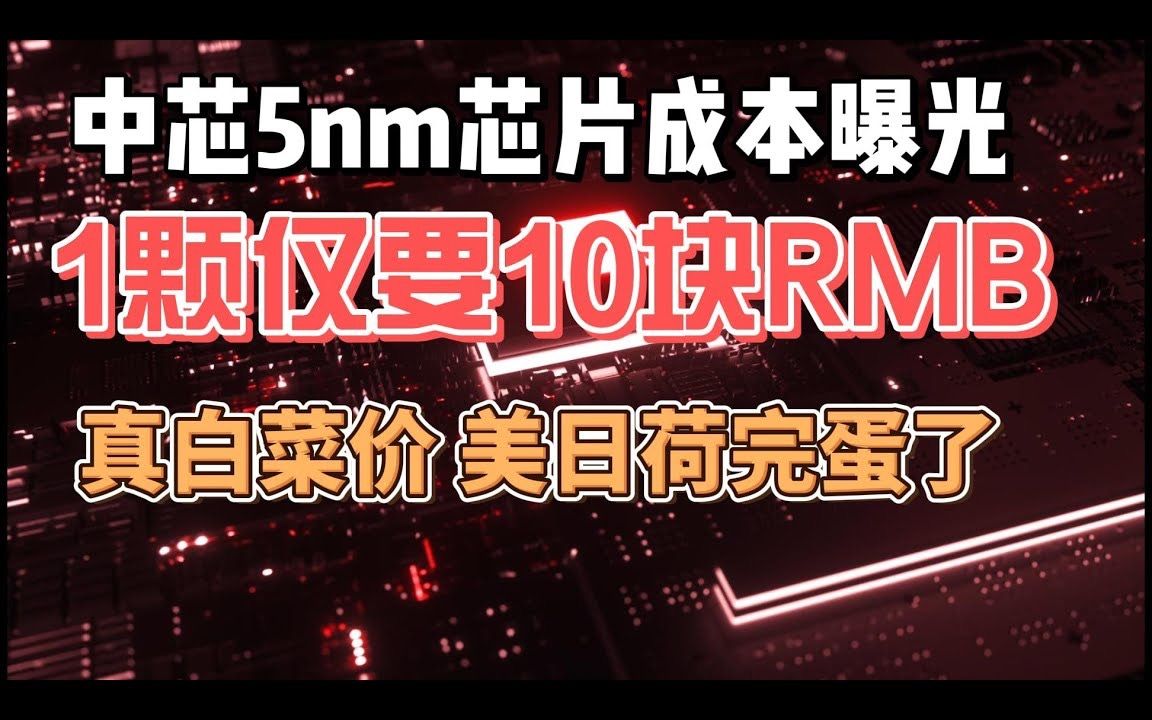 中芯5nm芯片成本曝光,1颗仅需10元人民币,芯片要按斤卖了,美日荷完蛋了哔哩哔哩bilibili