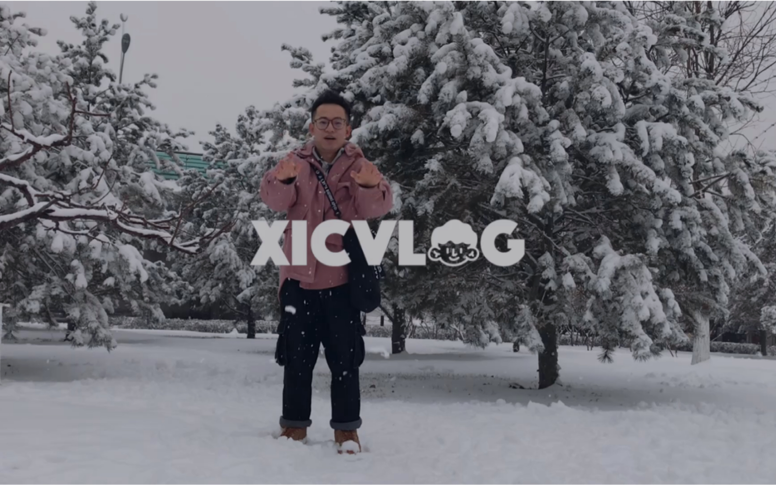 [图]XICVLOG｜貳零貳零