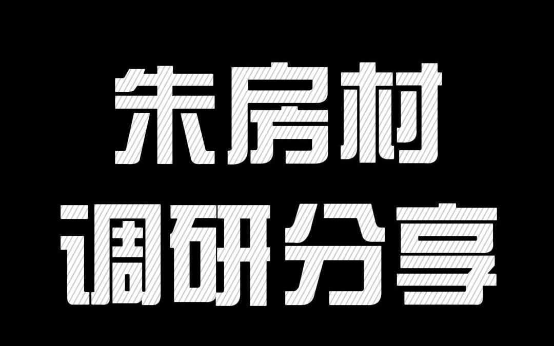 朱房村调研分享哔哩哔哩bilibili