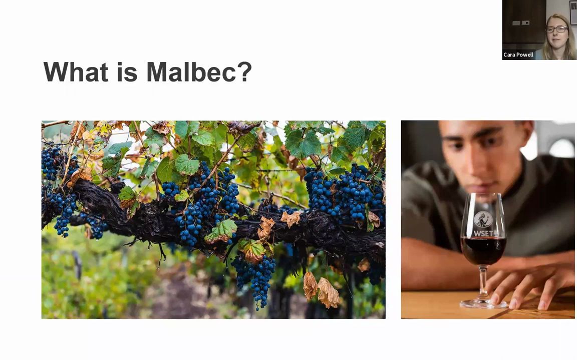 [图]WSET Bitesize - What is Malbec 马尔贝克简介（生肉）