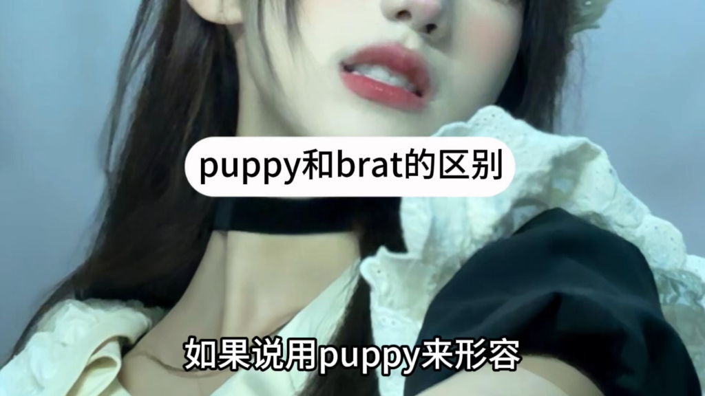 puppy和brat的区别是什么?(小白必看)哔哩哔哩bilibili