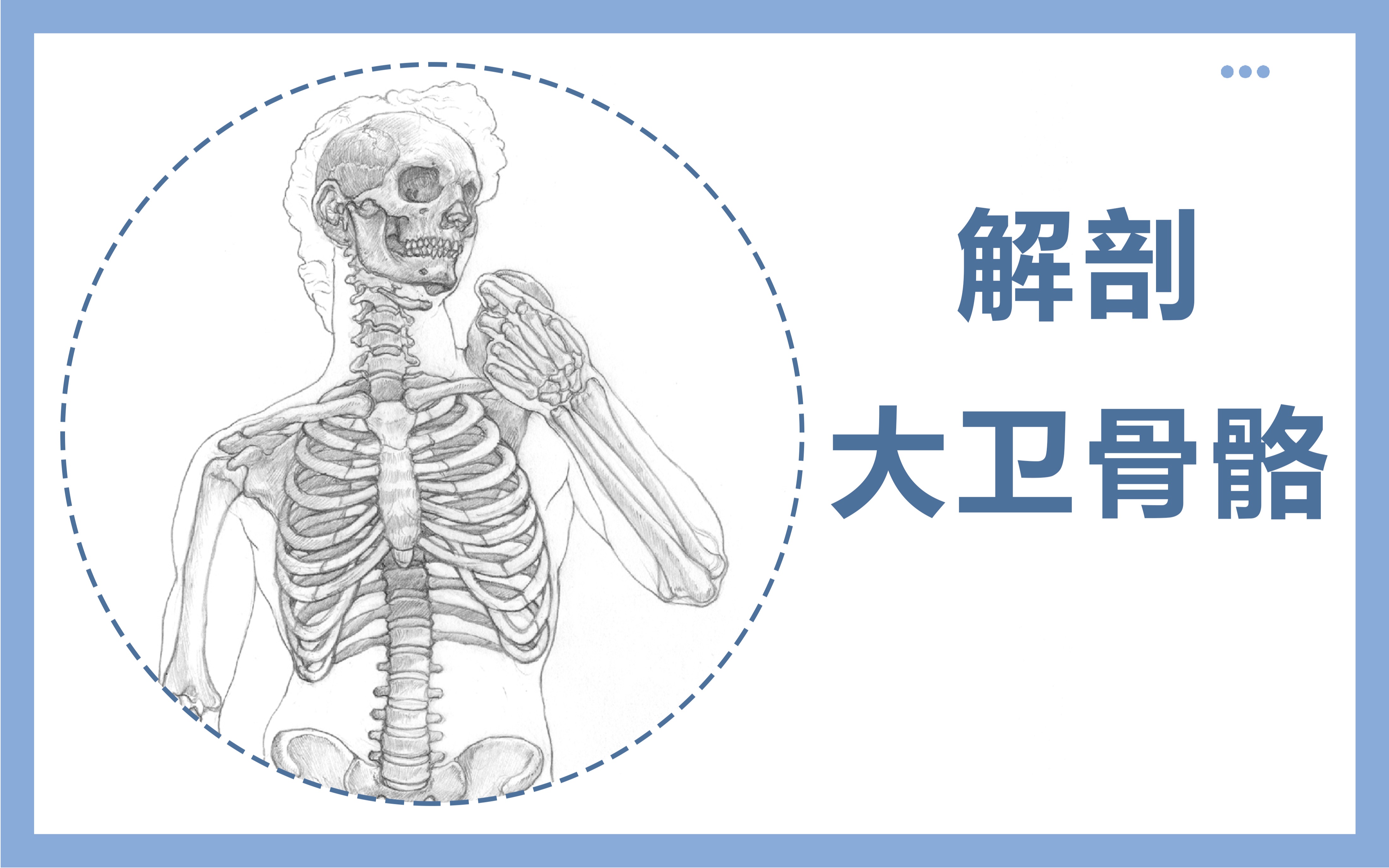 【基础】绘画解剖 解剖大卫骨骼 人体骨骼结构 解剖世界名作 临摹大师作品 有标注 35分钟哔哩哔哩bilibili