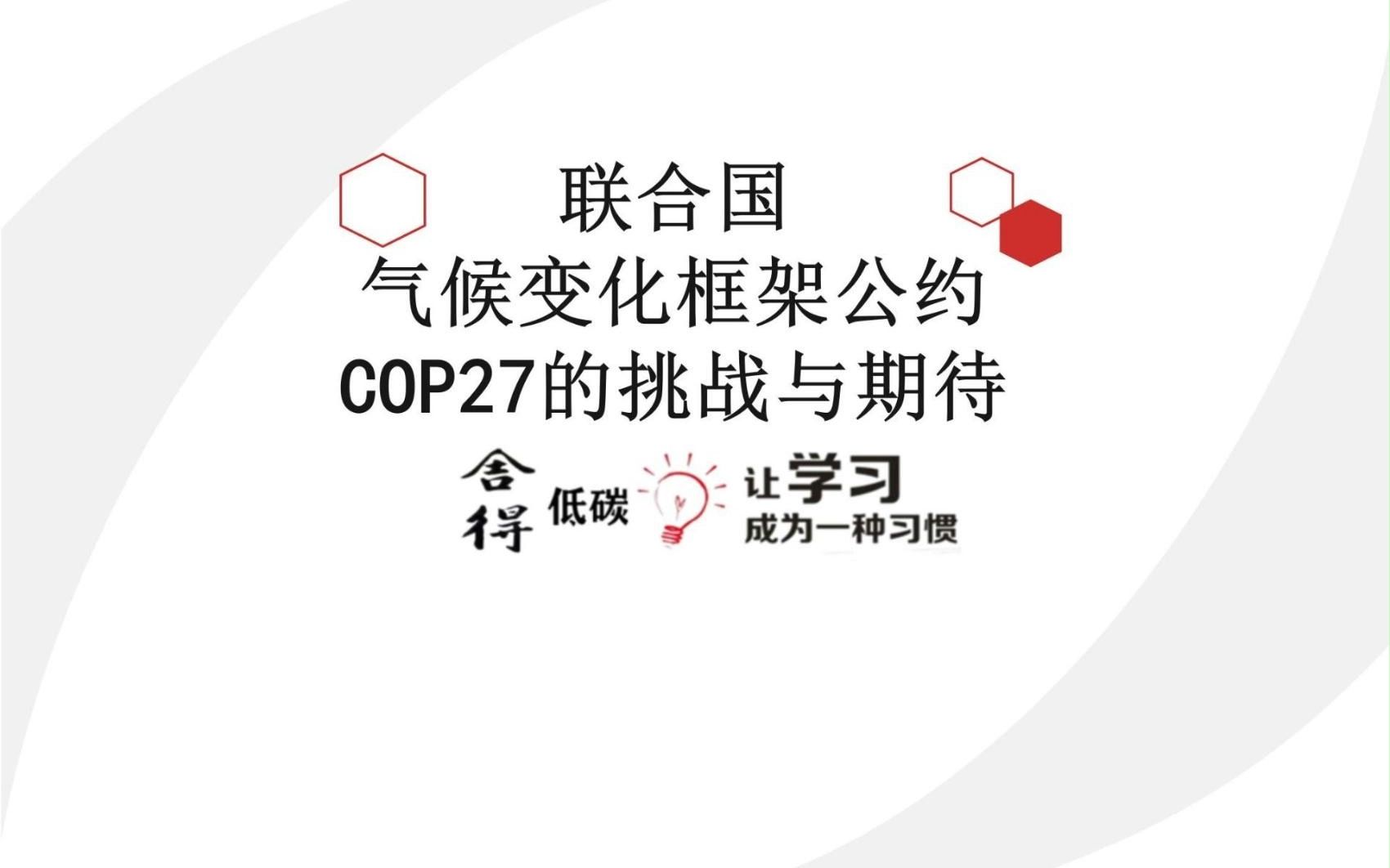 联合国气候变化框架公约COP27的挑战与期待哔哩哔哩bilibili