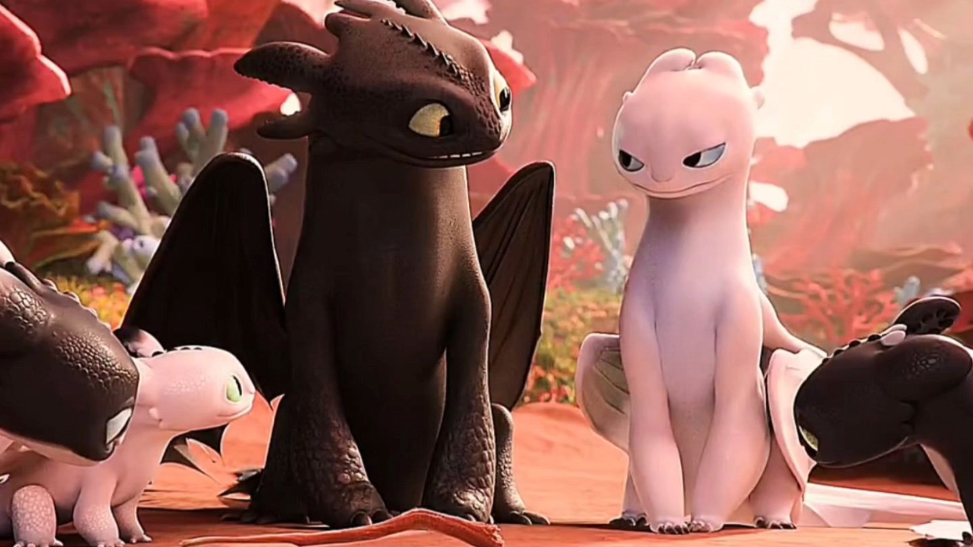 无牙仔与光煞的相遇