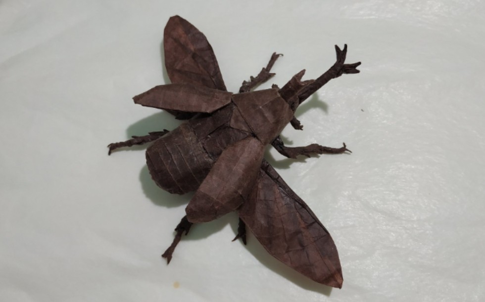 【折纸 搬运】一个比加藤那个难的飞行独角仙