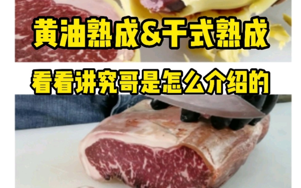 干式熟成和黄油熟成有什么区别吗?这个是大家问的最多的问题,今天看看讲究哥是怎么说的!哔哩哔哩bilibili