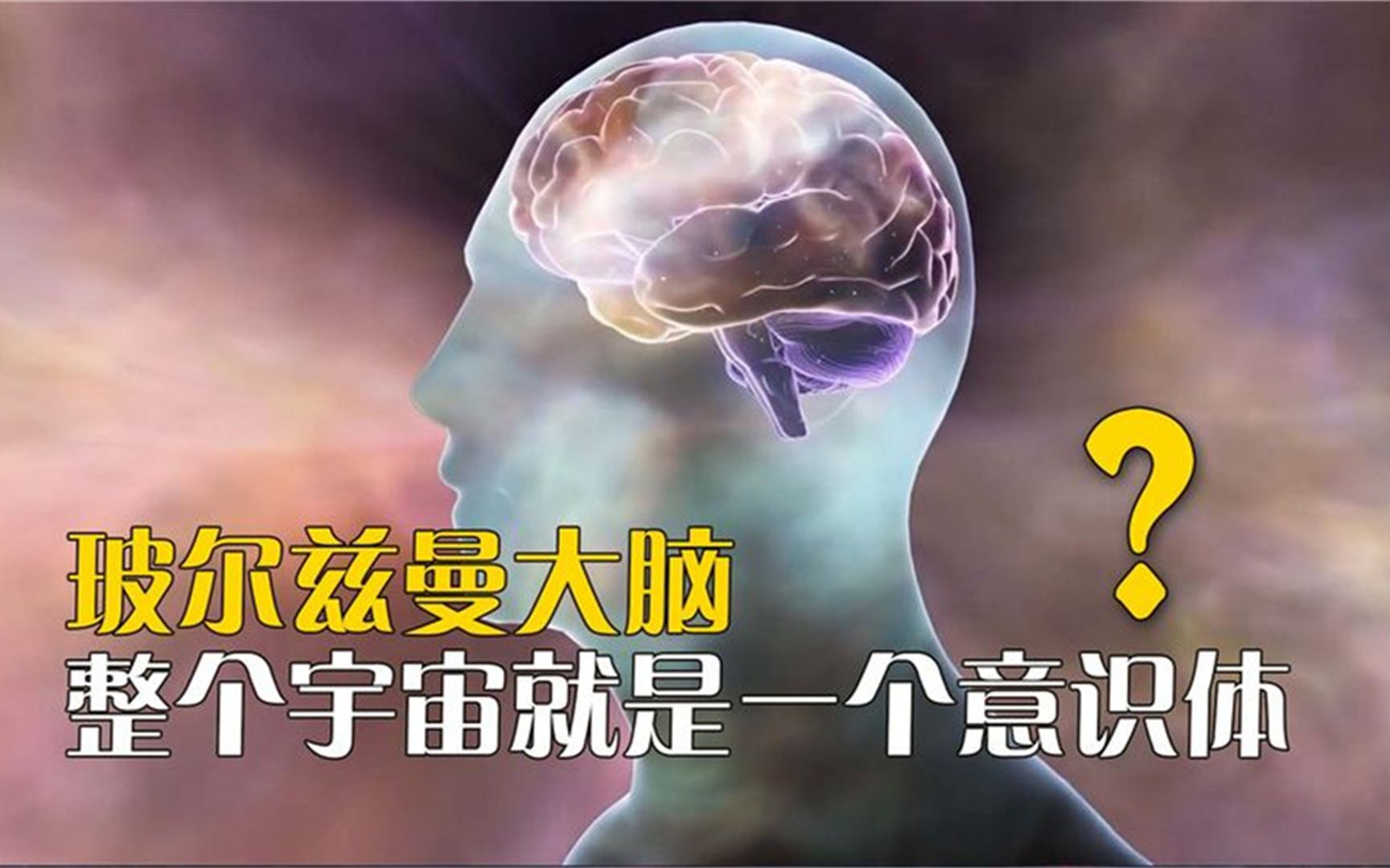 玻尔兹曼大脑:整个宇宙就是一个意识体?哔哩哔哩bilibili