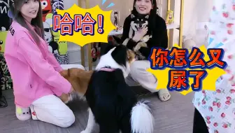 让 它 们 火 速 开 打