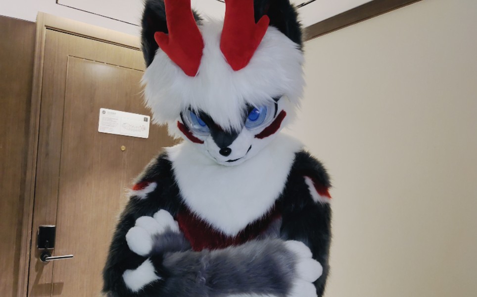 晓狼全装 兽装fursuit furry_哔哩哔哩_bilibili