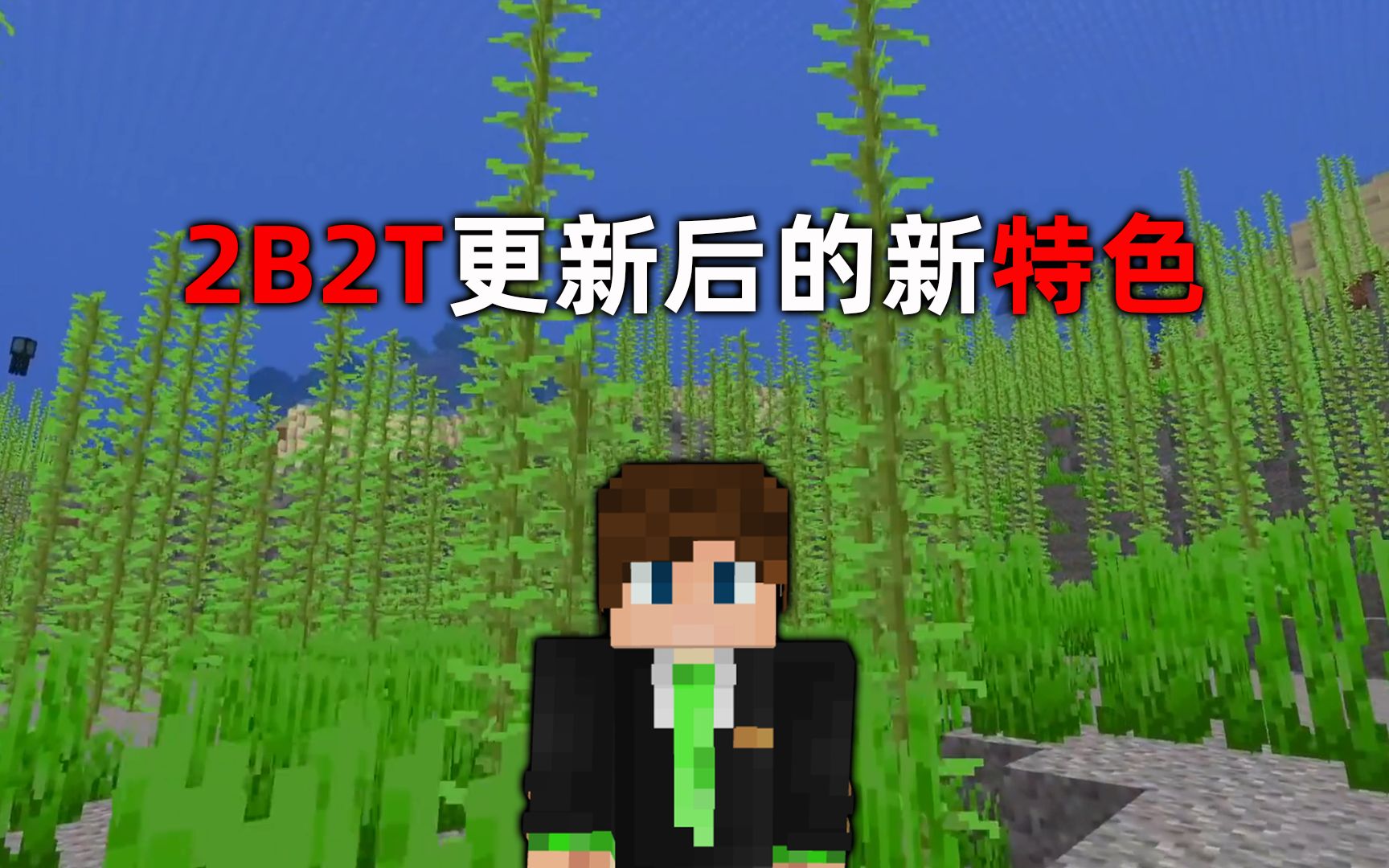 我的世界2B2T服务器:更新到1.19已经2个月了!新的特色!我的世界实况解说