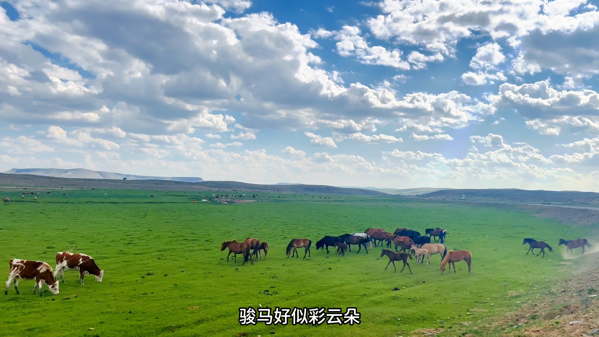 《美丽的草原我的家》黑鸭子组合哔哩哔哩bilibili